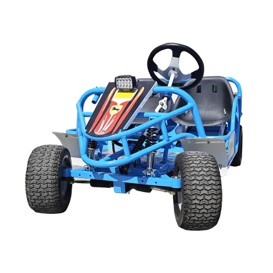 Elektro-Go-Kart mit 2 Sitzen und großem Offroad-Reifen aus Stahl