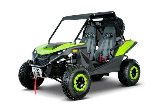 Pedal 4-Takt Offroad-Buggy 2-Sitzer Go-Kart Benzin für Erwachsene